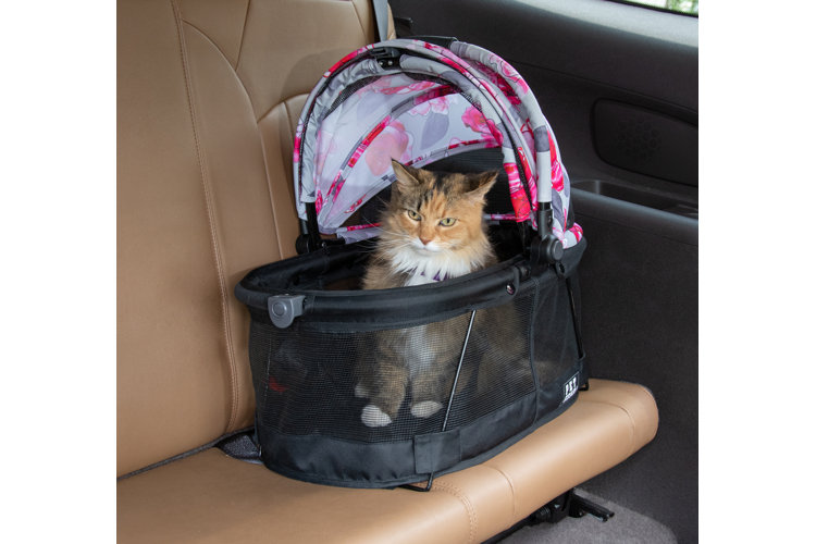 Find the Best Pet Carrier for Your Travel Wayfair